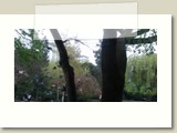 Wien - 04.2014 (62)